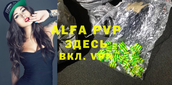 гашик Аркадак