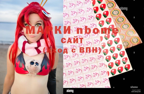 гашик Аркадак