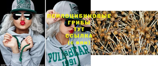 гашик Аркадак
