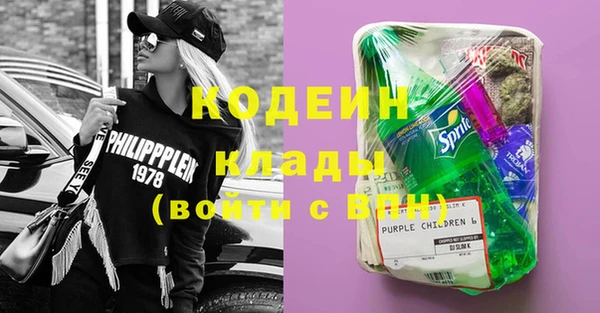 гашик Аркадак