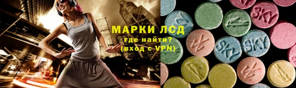 гашик Аркадак