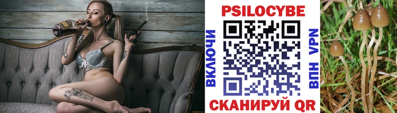 как найти Ужур дарк нет Telegram Галлюциногенные грибы MAGIC MUSHROOMS