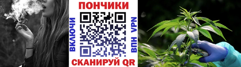 Марихуана Amnesia  Ужур 
